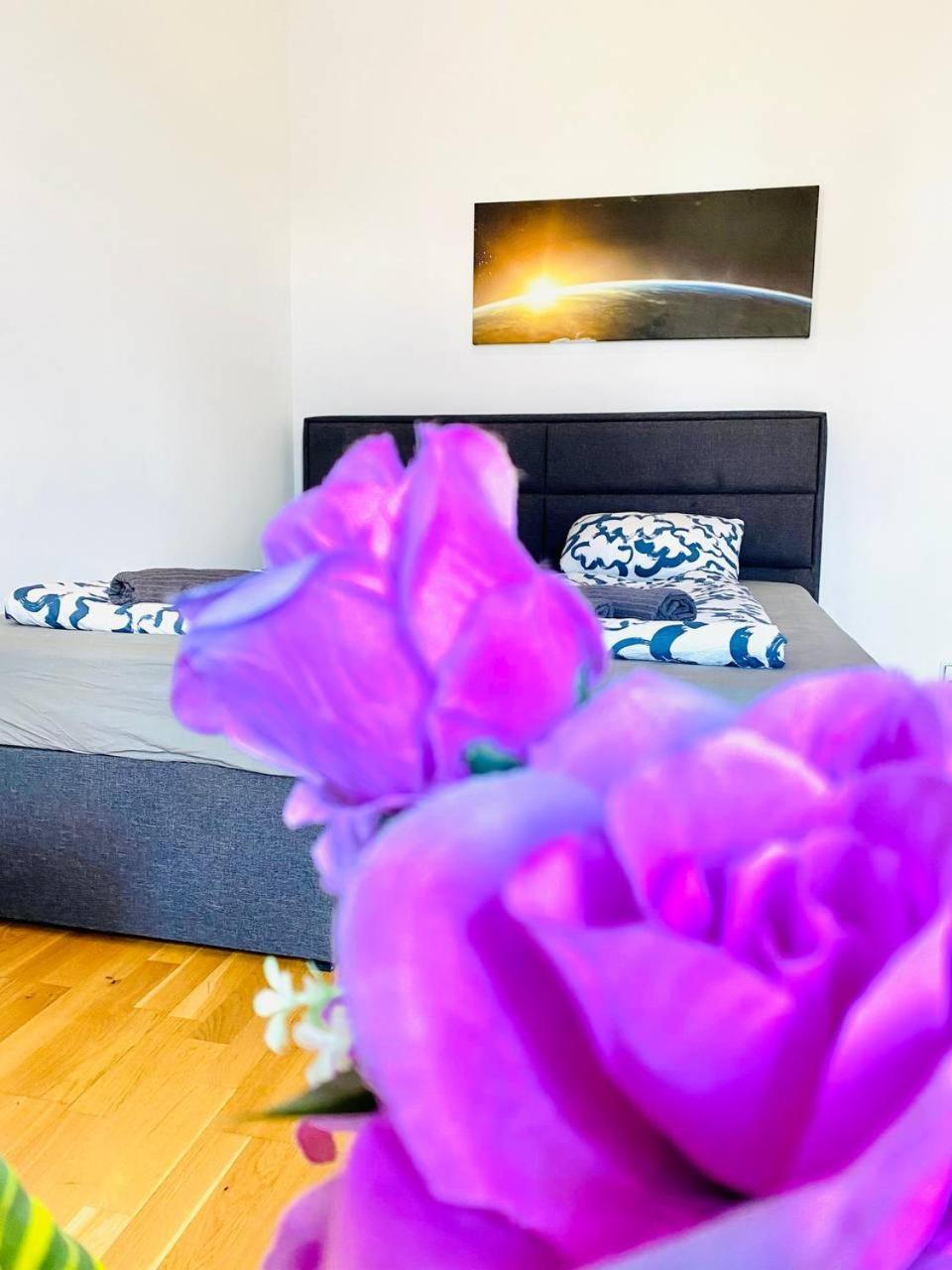 Cozy Rooms In Brigittenau Area Mm23 Vienna Esterno foto